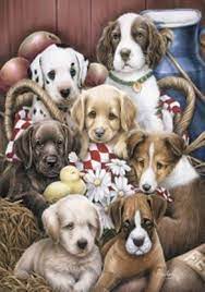 Puppy Pals Summer House Flag Puppies Flowers Barn Large Banner 28 X 40 Cute Animals Puppy Art Cute Dogs