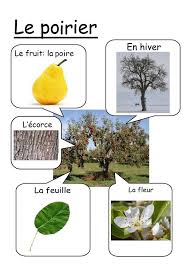 Epingle Sur Ecole