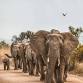 Follow your Light in Kenya: Yoga & Safari event image