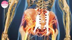 Beban yang dibawa sepatutnya hanya 10 peratus daripada berat badan anda. Testimoni Flex Tulang Belakang Terkunci Keluarga Hilang Punca Pendapatan Flexphysiotherapy