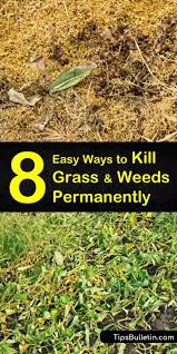 Repeat applications are usually necessary to reach the roots. 8 Easy Ways To Kill Grass And Weeds Permanently