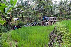 How to make water pump at home / cara membuat cara membuat pompa air tanpa listrik dan tanpa mesin. Inovator Dari Desa Pompa Air Tanpa Mesin Dan Listrik Jalan Jalan Terus