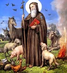 Stefano Balestra Oggi E Sant Antonio Abate Patrono Degli Animali Immagini Religiose Angeli Maschi Animali