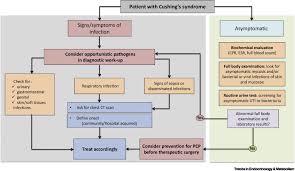 The Immune System In Cushing S Syndrome Trends In Endocrinology Metabolism