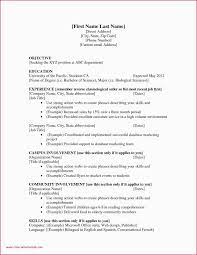 Administrative Assistant Resume Summary Administrative Assistant Resume Summary Examples Administrat Job Resume Template Job Resume Examples First Job Resume