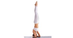 Pin On Study Of Yoga Costa Rica
