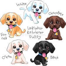 Maybe you would like to learn more about one of these? Labrador Stock Illustrationen Vektoren Kliparts 12 459 Stock Illustrationen