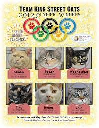 King Street Cats King Street Cats Are Olympic Athletes Cats Cat Nap Olympics