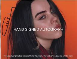 Billie Eilish Book