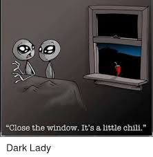 Le dègue du chili (octodon degus) est un petit mammifère rongeur de la famille des octodontidés.il vit dans la partie centrale du chili à l'état sauvage. Close The Window It S A Little Chili Dark Lady Meme On Sizzle