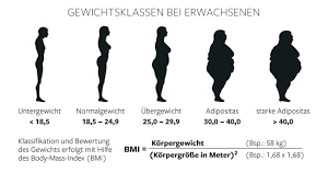 Sterblichkeit Wer Glaubt Dicke Leben Langer Der Irrt Gewaltig Welt
