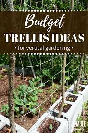 Gardening becomes a breeze ! Diy Trellis Ideas For Growing A Vertical Garden On A Budget
