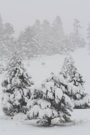 Flagstaff Arizona Been There Is This Weather While Adam Drove A Station Wagon With A Trailer Through It Grand Canyon Arizona Arizona Nature Travel