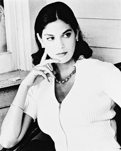 Teri Hatcher Heaven's Prisoners Posters and Photos 163998 | Movie Store