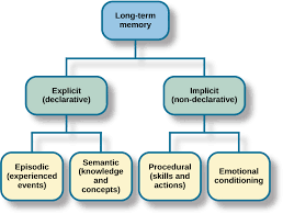 Storage Introduction To Psychology