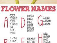 Beautiful Spanish Names For Baby With Their Meanings And Pronunciation Spanish Baby Names Spanish Names Spanish Girls Names
