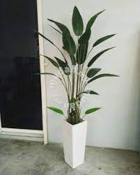The selected supplier you might like. Artificial Skybird Plant Furniture Decoration For Sale In Shah Alam Selangor Mudah My