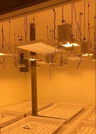 There are numerous types of cultivation lights. Grow Services Grow Light Installation Jeremy Electrical