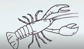 Make every drawing an easy things to draw drawing. How To Draw A Crayfish Step By Step
