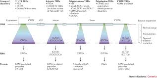 Hubert believes there are lessons here for the wider world, about changing the way we think about our energy use. Tandem Repeats Mediating Genetic Plasticity In Health And Disease Nature Reviews Genetics