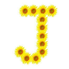 Buchstabe Letter J In 2020 Monogram Alphabet Floral Flowers
