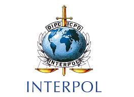 Check spelling or type a new query. Interpol Logos