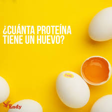 Huevos Endy Los Huevos Son El Alimento Proteico Perfecto Tienen El Perfil De Aminoacidos Ideal Y Por Eso Se Le Llama La Proteina De Referencia Un Huevo Mediano De Unos 60