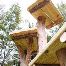 Cat Tree Uk The Uk S Largest Retailer Of Cat Trees Scratching Posts