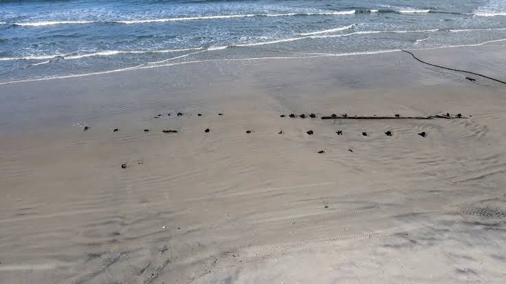 Mysterious Object Emerges on a Florida Beach, Setting Off Speculation | The  Seattle Times