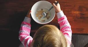 autism spectrum disorder food allergy ile ilgili görsel sonucu