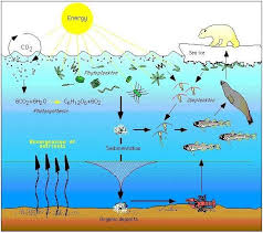 Climate Impacts On Ecosystems Climate Change Impacts Us Epa