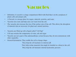 Maybe you would like to learn more about one of these? Ppt Vacuoles And Peroxisomes Powerpoint Presentation Free Download Id 6616402