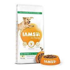 Pin On Iams