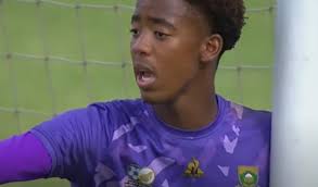 Goal Keeper for SA facing VAR red card check for handling outside box.  Check complete. Keeper gets red!😍 #COSAFAU17