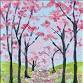 Bright Cherry Blossom Path!