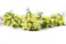 Wedding Decorations Png White Pinflowernifty On Flower Nifty In 2019 Flower Bouquet Png Flower Bouquet Png Flowers Bouquet Rose Flower Arrangements