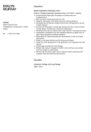 mobile application developer intern