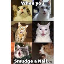 Cat filing nails meme meaning. 45 Funniest Nail Memes To Lift Your Mood Lucy S Stash