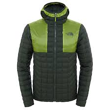 The North Face M Thermoball Plus Hoodie Climbing Ivy Green