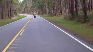 Texas Best Motorcycle Rides Sam Houston National Forest Riding Motorcycle National Forest Riding