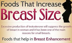 The increase in the size of breast requires the efficiency of vitamins. Foods That Increase Breast Size