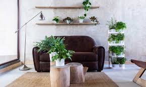 Una vez que el ciclo de la planta se completa, debes sustituirlas por las de la temporada siguiente. Ideas De Decoracion Como Integrar Las Plantas En La Decoracion De Tu Casa Foto 1