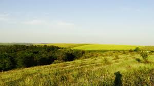 Find the best free stock images about moldova landscape. Moldova In Three Landscapes Steemit