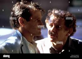 Seize the day robin hi-res stock photography and images