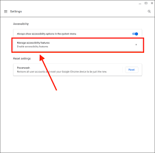How To Make The Mouse Pointer Larger In Chrome Os My Computer My Way