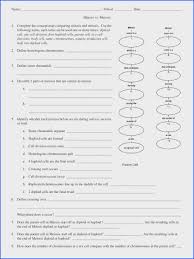 Mendel And Meiosis Worksheet Answers Amp 440 X 320 440 X 320 Image Below Meiosis Worksheet Answer Key Meiosis Self Esteem Worksheets Mitosis