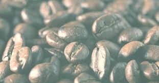 5 types of coffee bean roasts. Coffee Bean Types Arabica Robusta Excelsa Liberica How They Differ