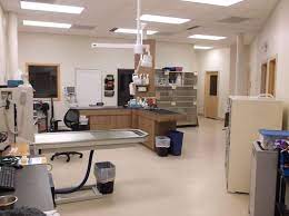 A microchip, unlimited nail clippings, flea and worming treatment, excellent advice and plenty of fuss every time he comes into the vets by all. Healthy Pet Veterinary Clinic 20 Photos 15 Reviews Veterinarians 2801 E Washington Ave Madison Wi United States Phone Number