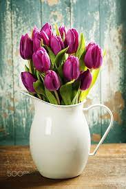 Spring Tulips By Natalia Klenova On 500px 500px Klenova Natalia Spring Tulips Spring Tulips Tulips Flowers Beautiful Flowers