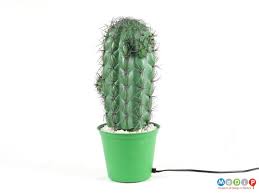Find new and preloved kingsbridge items at up to 70% off retail prices. Cactus Lamp Museum Of Design In Plastics